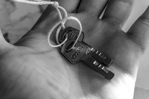 Rozdíly Amatérského a Profesionálního Umění: Co je Klíčové?